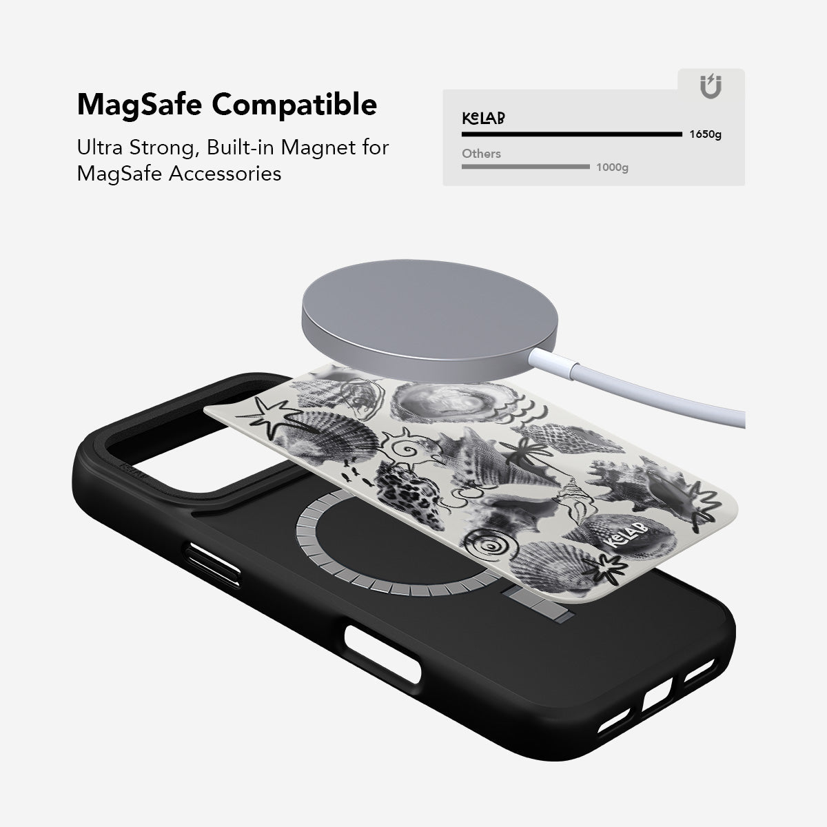 Coastal Curiosities | Seashell Sketch Phone Case
