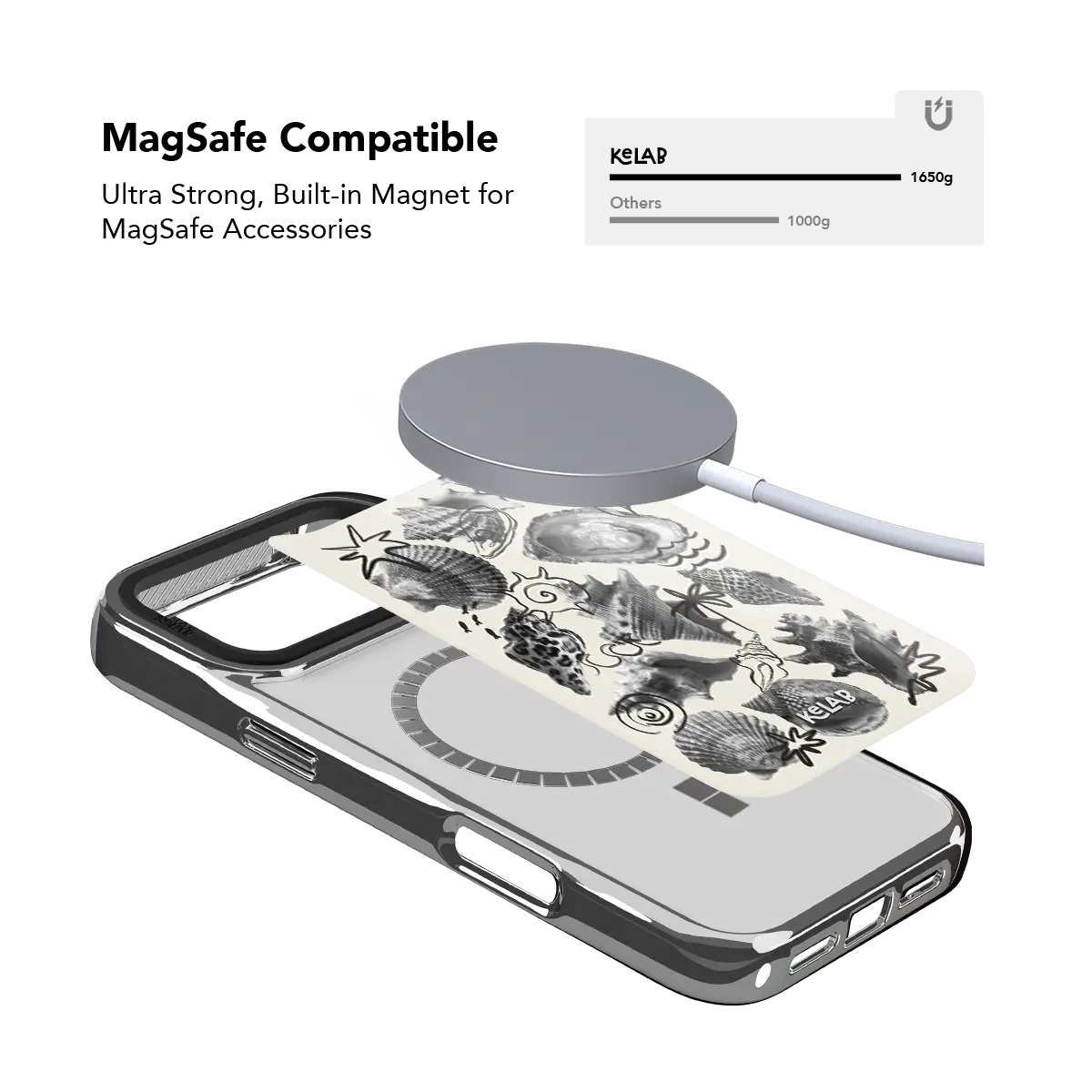 Coastal Curiosities | Seashell Sketch Phone Case