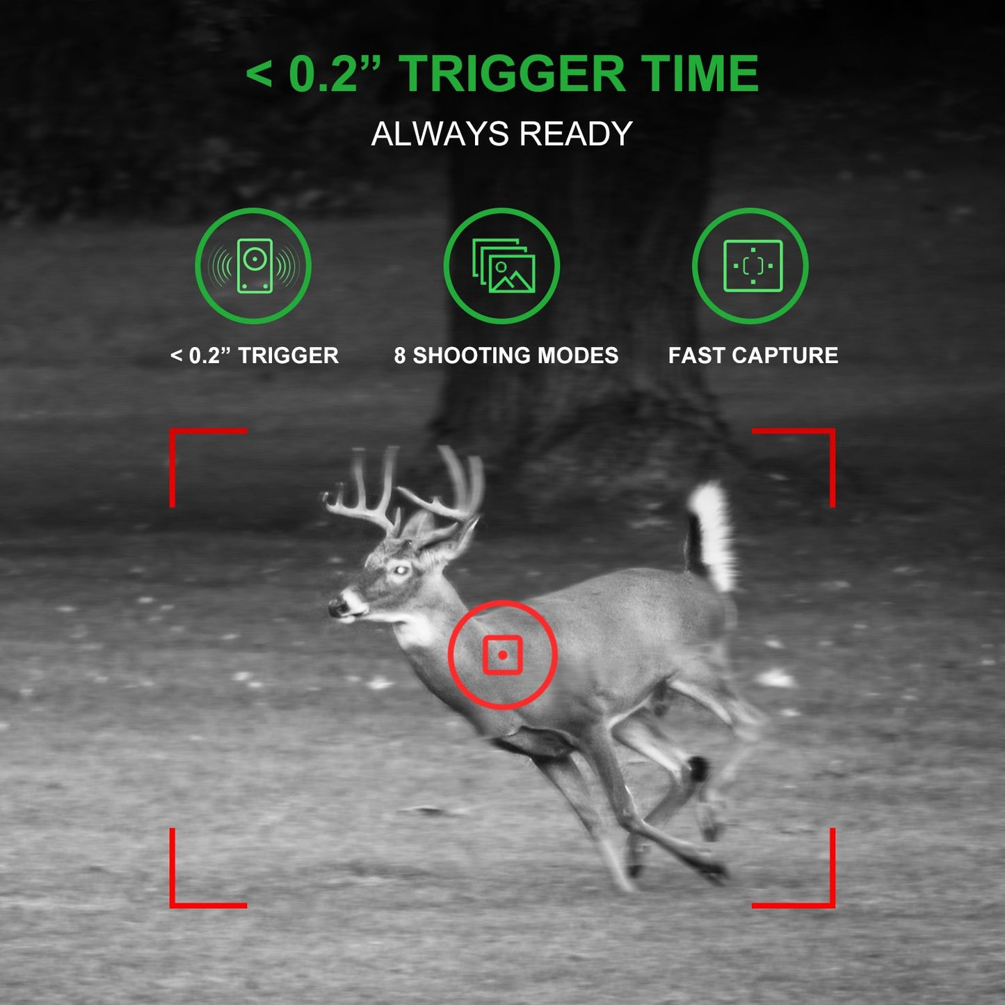 REXING H1 Blackhawk Night Vision Trail Camera Full HD 1920×1080