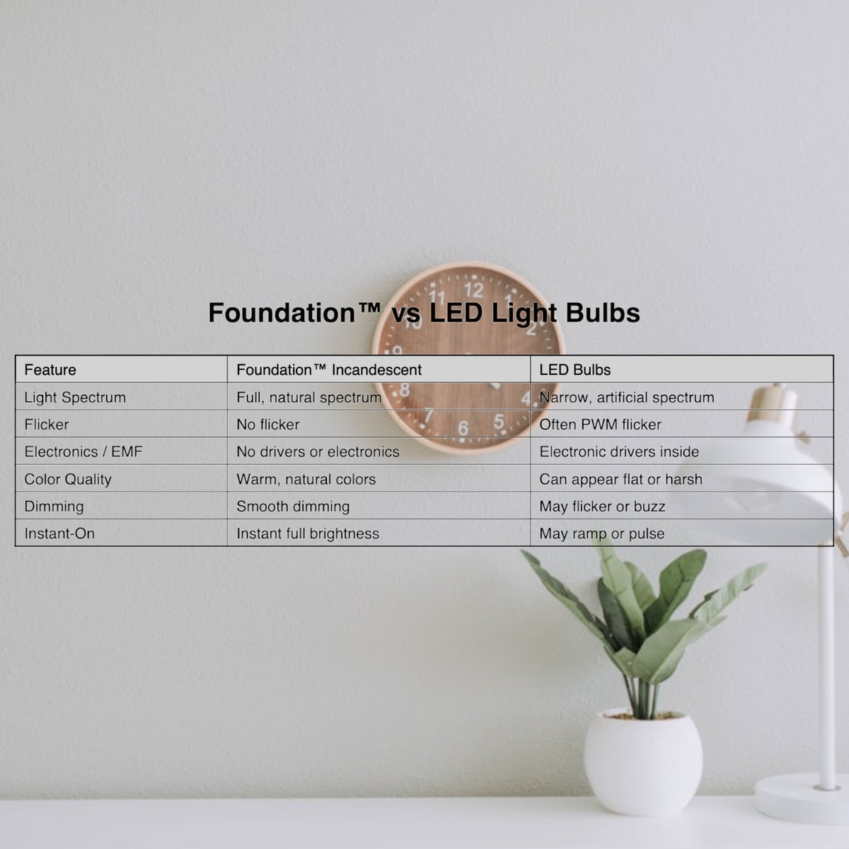 Foundation™ 40-Watt Full Spectrum Incandescent Dimmable Light Bulb - 3000K Soft White, E12 Candelabra Base, Globe - 6-Pack