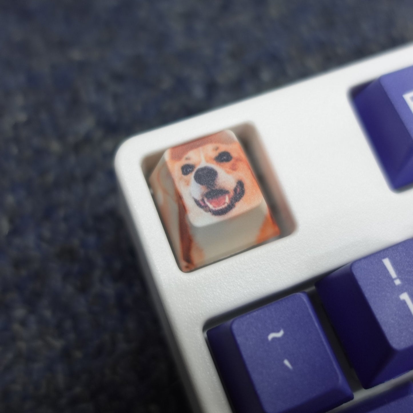 Custom Keycap (Single key, ESC, Spacebar, Enter and etc..)