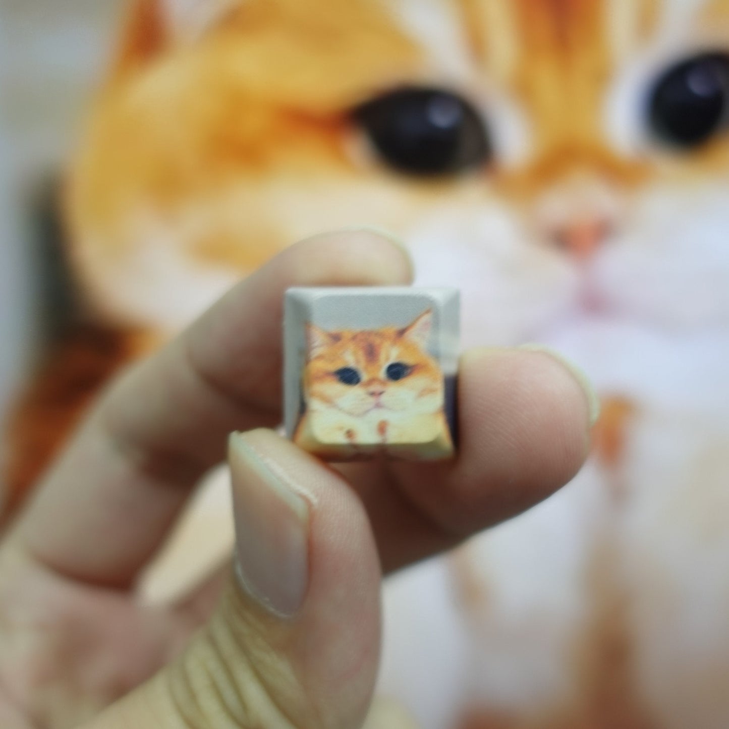 Custom Keycap (Single key, ESC, Spacebar, Enter and etc..)