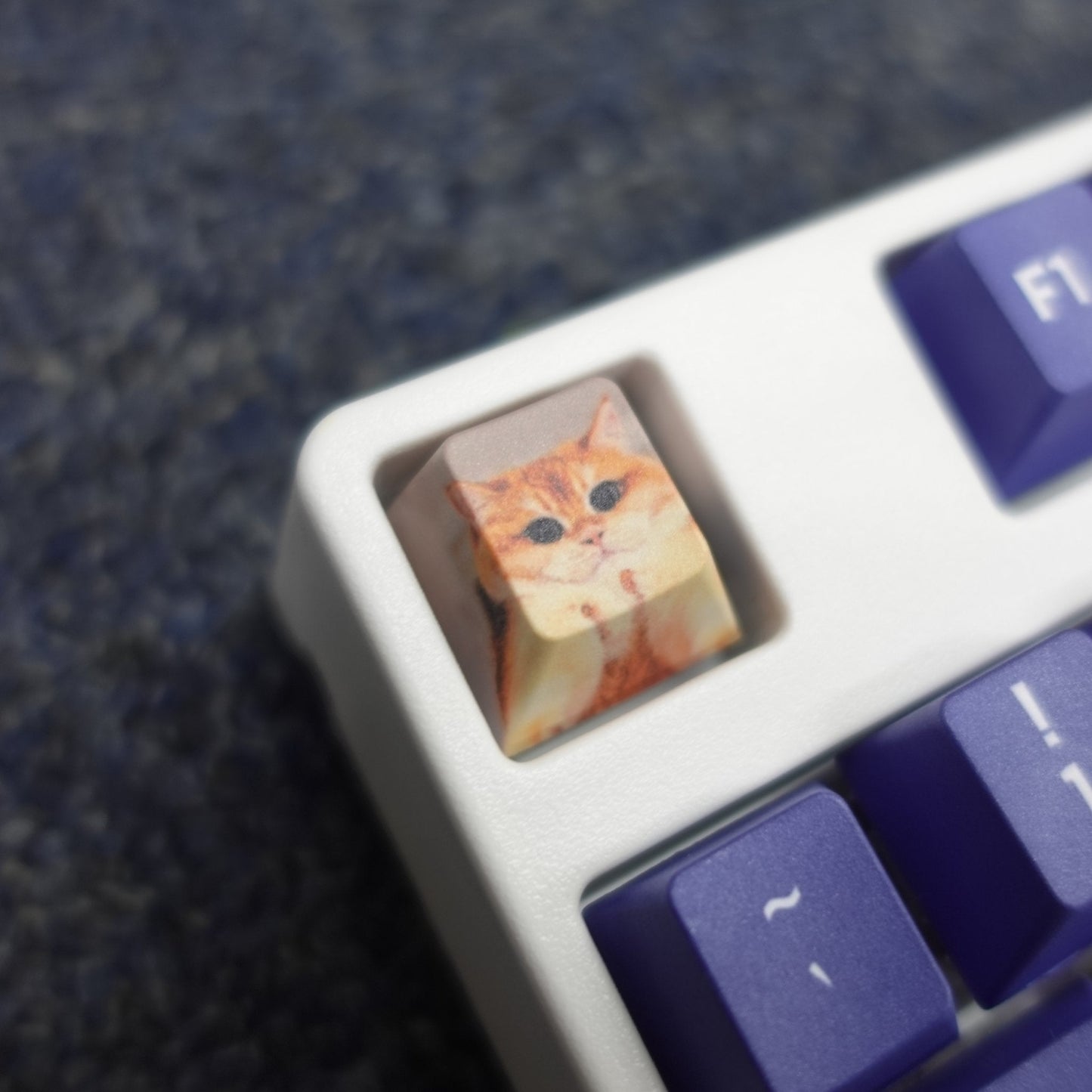 Custom Keycap (Single key, ESC, Spacebar, Enter and etc..)