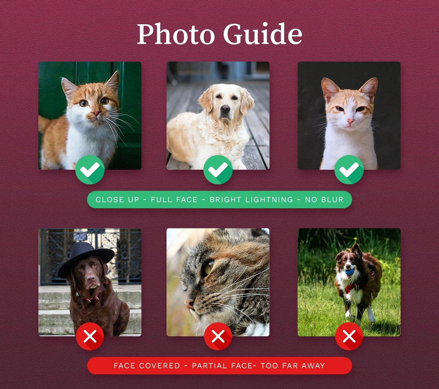 Custom Pet Portrait Phone Case with Name, Personalized Dog Photo Cat Face Case, Sympathy Gift for Pet Lovers